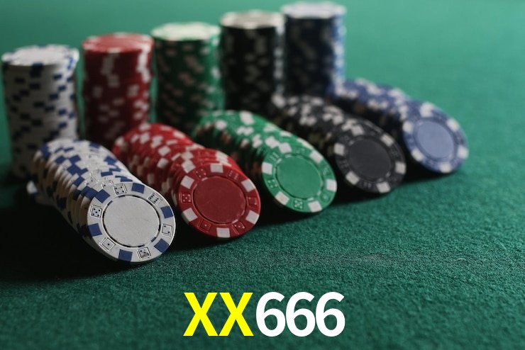 Experiência VIP XX666